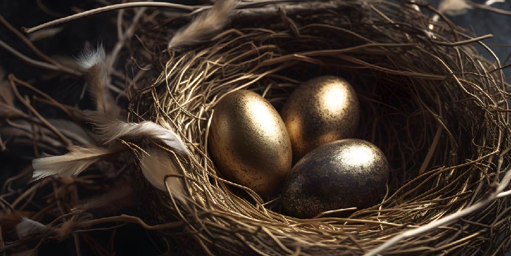 Nest Egg